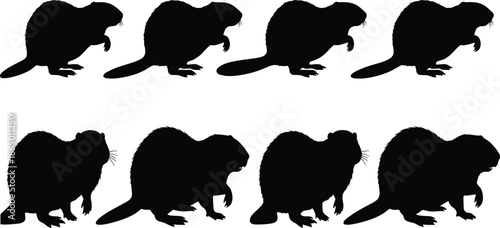 Beaver Silhouette Vector Set with Walking and Standing Poses Isolated on White Background Wildlife Illustration