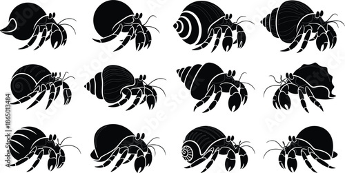 Hermit Crab Silhouette Vector Set with Different Shell Shapes Marine Animal Isolated on White Background