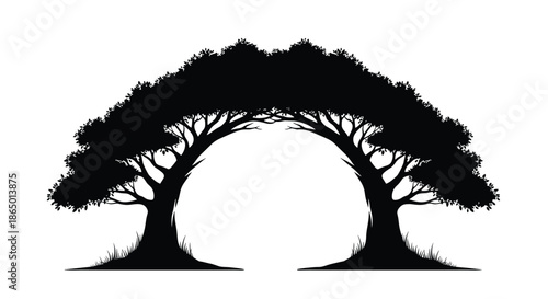 Artistic silhouette of two large spreading trees that join together to form a natural archway over a simple grassy landscape.