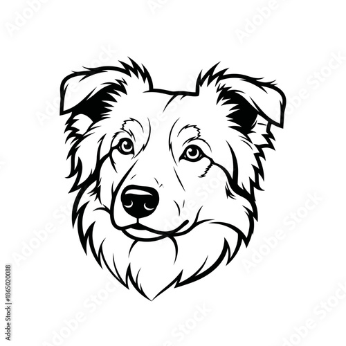 Detailed Line Art Portrait of a Border Collie Dog.