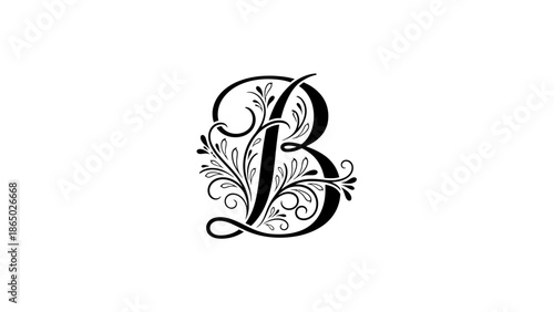 Elegant ornate initial letter B with decorative floral flourishes isolated on white background