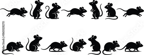 Mouse silhouette icon set with various poses and movements, black minimalist rodent illustrations isolated on white background design use graphic projects