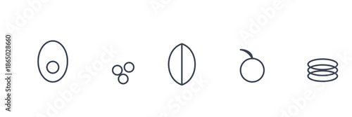 Vegan Bowl Ingredients Icons with Avocado, Greens, Grains and Vegetables