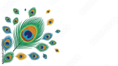 Collection of colorful peacock feathers with prominent eye-spots, arranged beautifully against a clean white background, showcasing natural artistry.