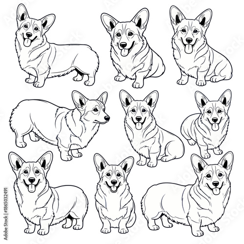 Collection of Adorable Corgi Dogs in Various Poses.
