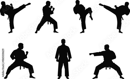 Martial arts silhouettes, karate poses, taekwondo kicks, fighting stance, black illustration, combat training, discipline art, self-defense concept