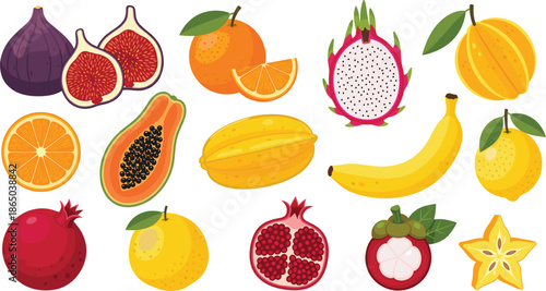 Tropical fruits collection vector illustration with sliced and whole exotic fruits isolated on white background for food design