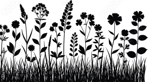 Wildflower silhouette illustration, black plant shapes, botanical vector, nature design, grass elements, floral art, meadow scene, foliage graphics, elegant flora, garden decor