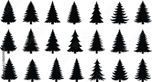 Set of black pine tree silhouettes, evergreen spruce and fir coniferous forest elements for Christmas, winter nature landscape, isolated vector illustration on white background (24 words)