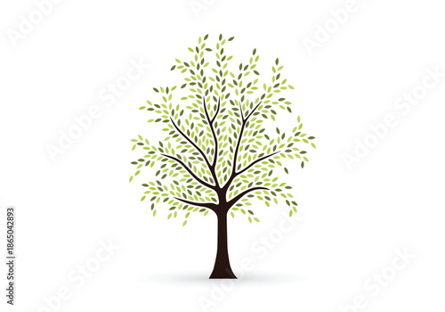 Green Leaf Branch Vector series on white background, vector green tree on white,
Natural Botanical Foliage Illustration