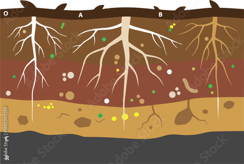 Soil Horizon Layers Diagram