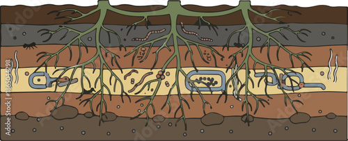 Underground Soil Ecosystem Diagram
