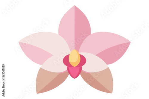 pink orchid flower