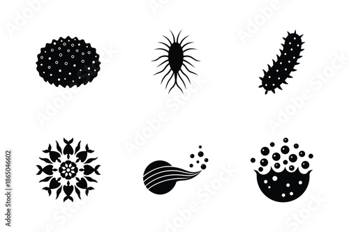 Set of Marine Plankton and Zooplankton Vector Icons on White Background