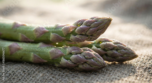Fresh Green and Purple Asparagus Spears with Water Droplets Macro
