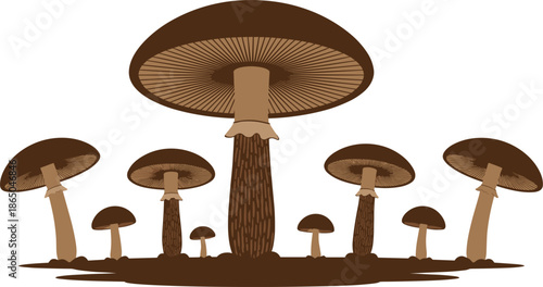 Mushroom forest silhouette vector illustration with large and small fungi isolated on white background for nature and fantasy design