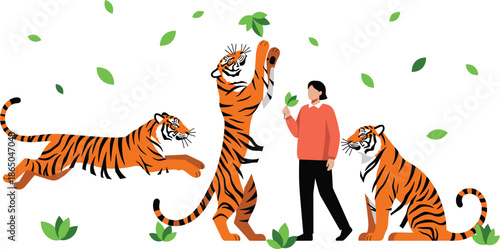 Person interacting with playful tigers in nature vector illustration isolated on white background for wildlife education design