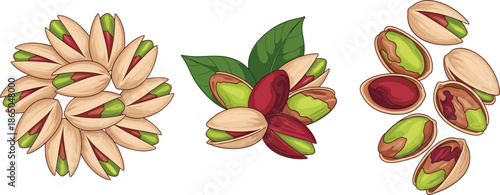 Pistachio Nuts Collection Vector Illustration with Whole and Shelled Pistachios Isolated on White Background for Food Design