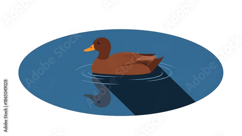 An illustration depicting a brown duck with an orange beak floating on water. The water is in a blue oval shape and has ripples. The duck has a shadow