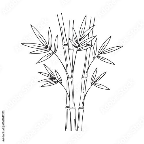 Bamboo Stalks and Leaves Line Art Illustration for Zen and Tropical Nature Designs