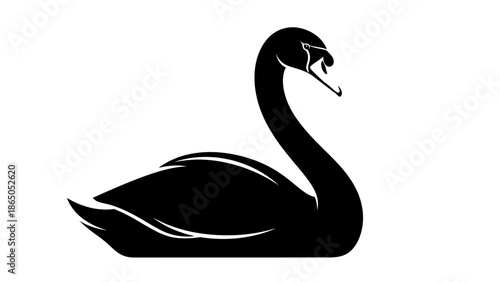 Elegant Swan Swimming Gracefully on Isolated White Background