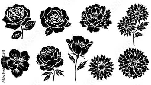 Elegant floral silhouettes, a timeless collection of botanical beauty in black and white