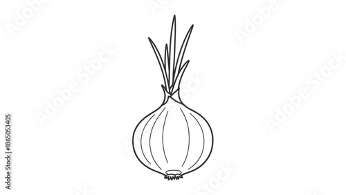 Fresh whole onion with roots and green sprouts, natural vegetable, isolated white background.