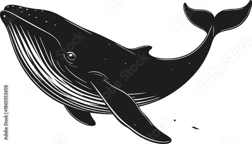 Whale Silhouette Vector Illustration