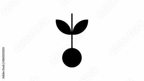 Young plant seedling with leaves growing from a seed, isolated white background