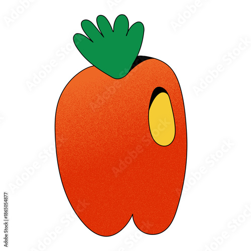 vector illustration of an orange fruit