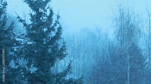 Snow storm cold windy weather video background