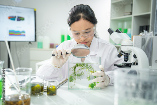 Female scientist examining algae samples in modern laboratory using magnifying glass, conducting biological research for sustainable innovation, renewable energy, and environmental science development