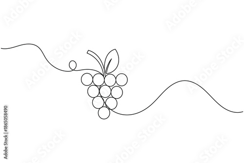 Minimalist continuous line art grapes vector drawing illustration