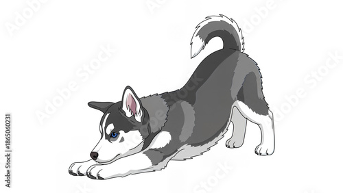 illustration of husky puppy stretching