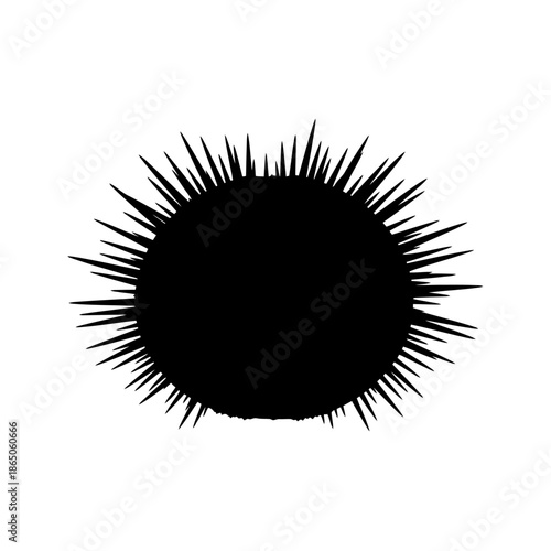Silhouette of a Sea Urchin with Sharp Spines.