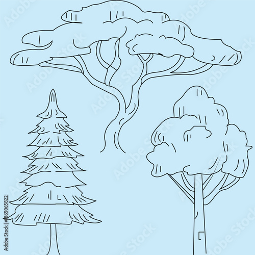 set of trees in lines in minimalist CAD. Set of sections of wetland forest outlines for landscape design drawing. Vector illustration in separate elements.