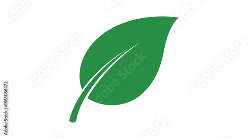Vibrant green leaf vector illustration symbolizing nature, growth, and environmental sustainability on a clean white background.