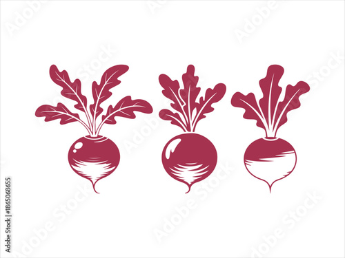 Three stylized beetroots with leaves in deep red and white beets root vegetable food