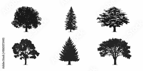 A collection of six distinct tree silhouettes against a white background