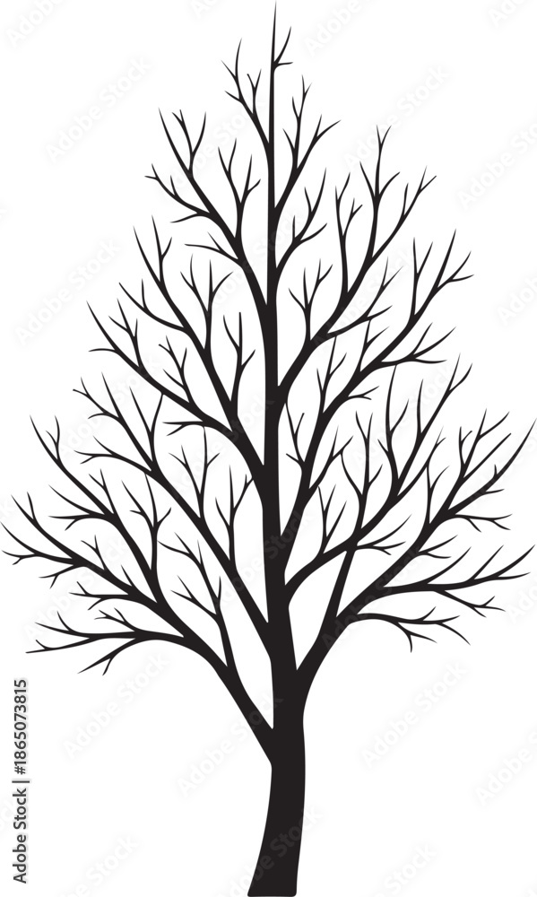 Obraz premium Bare tree silhouette