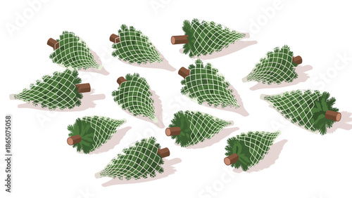 Overhead view of numerous freshly cut Christmas trees, each neatly wrapped in protective netting, arranged on a white background, ready for transport or sale during the holiday season.