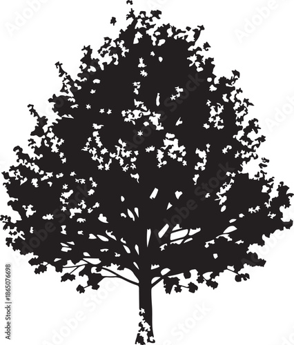 Silhouette era  era Page Page