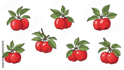 Diverse collection of eight apple branches, each featuring clusters of ripe red apples and vibrant green leaves, showcasing the bounty of nature and fresh, healthy organic produce.