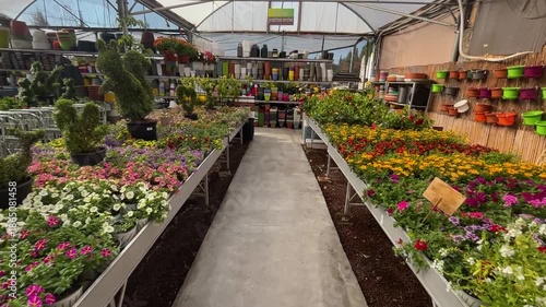 A greenhouse with exotic houseplants, lots of flowers, cacti, and palms. A shop for indoor and garden plants.