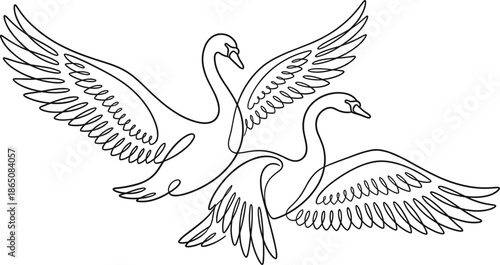 Elegant continuous one line drawing of two swans flying with spread wings for minimalist wedding decor, graceful bird vector art illustration.