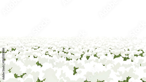 An illustration presents a vast field of white, cloud-like forms, possibly representing flowers or another natural subject. Green stems peek through