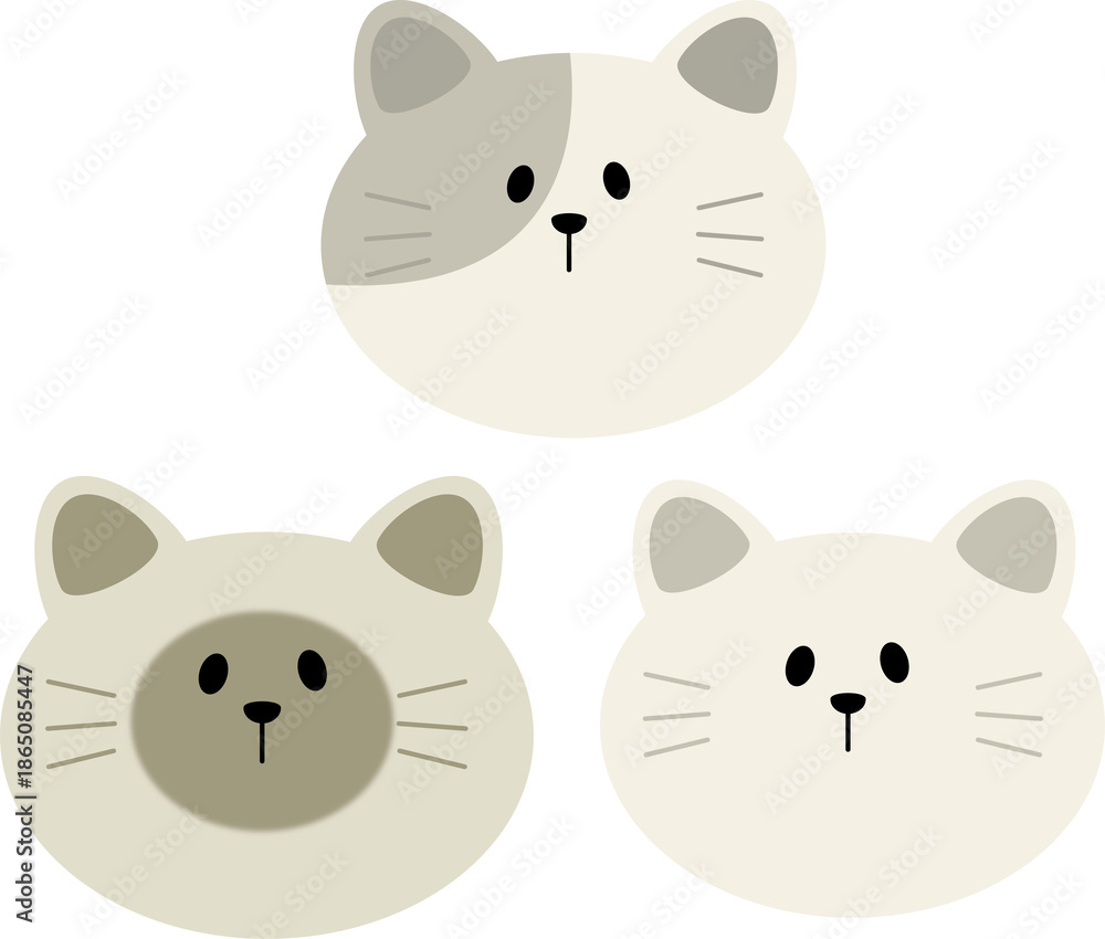 Fototapeta premium Cat