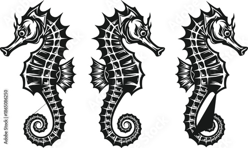 WebSeahorse vector illustration set, black and white marine wildlife engraving style artwork for logo, tattoo, emblem, nautical decor designs, branding, merchandise projects