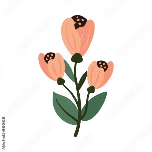 Minimalist Peach Tulip Flower Illustration Isolated on White
ute Peach Tulip Floral Illustration

Simple Botanical Tulip Flower Illustration

Hand Drawn Minimal Tulip Flower Design