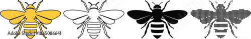 Set of four bee icons or symbols in different styles color, outline, solid black, and hatched pattern
